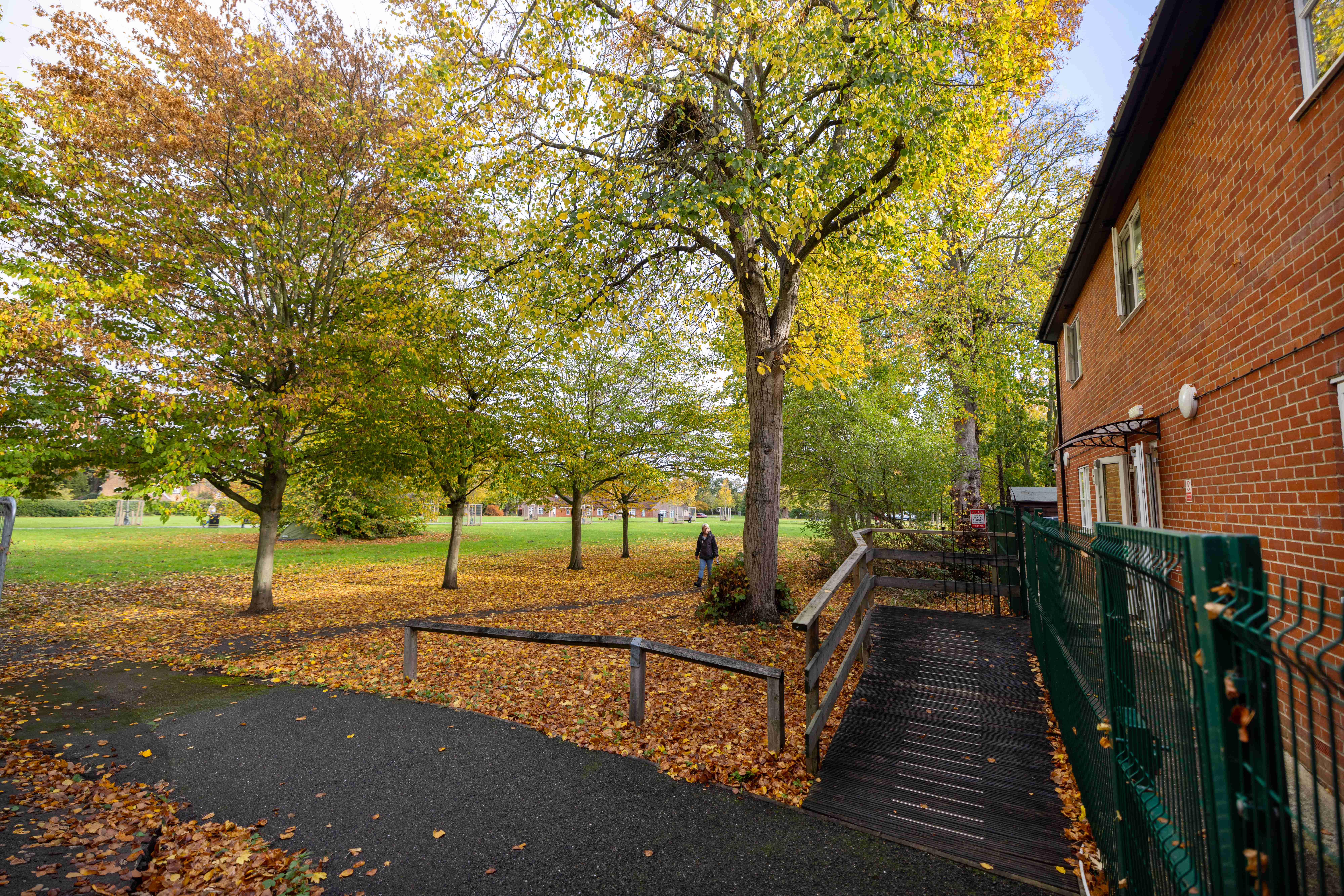 Autumn park grounds with trees