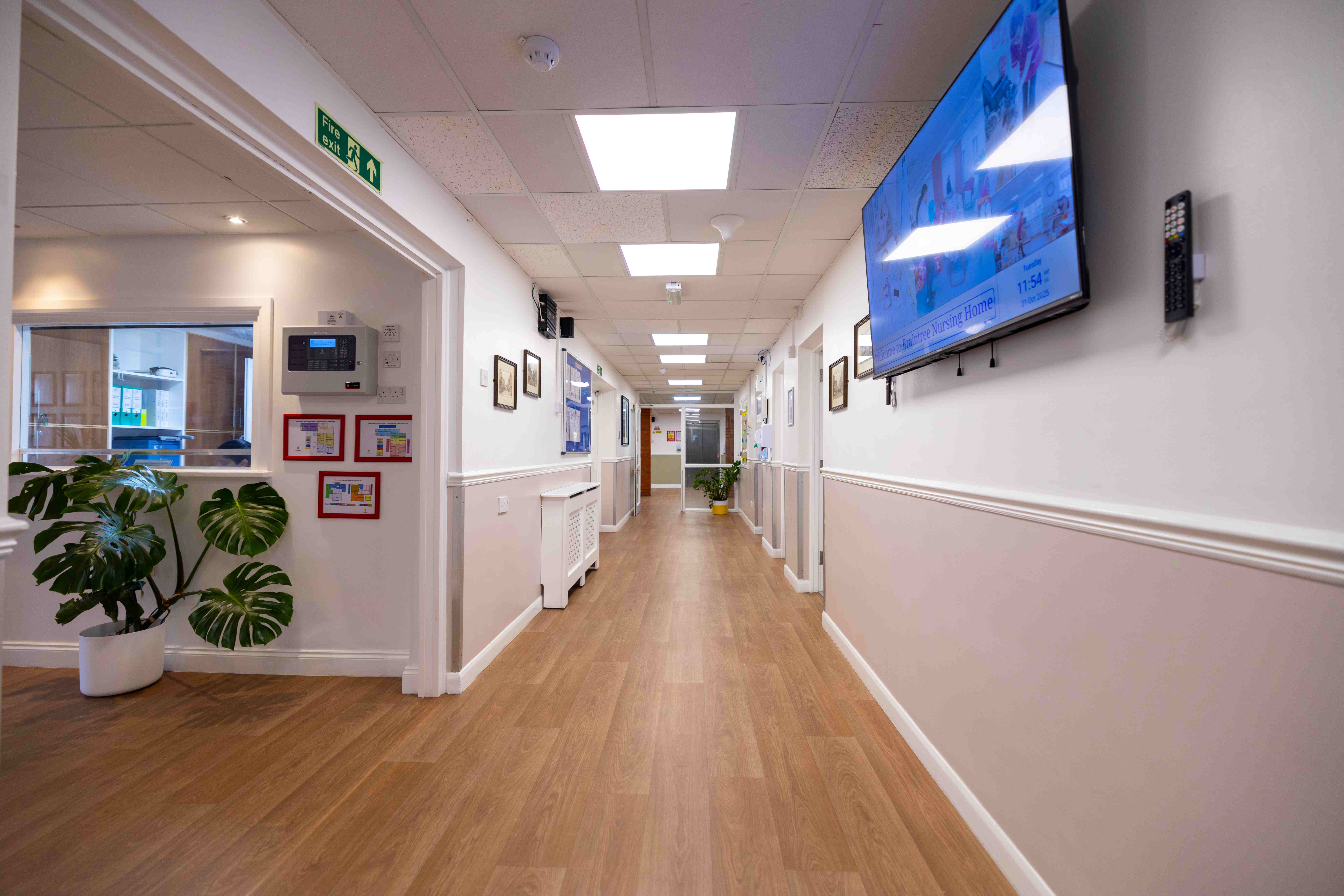 Main corridor with TV and plants